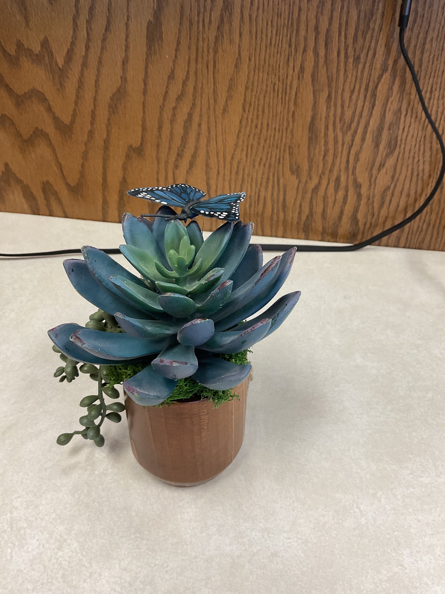 Kg floral