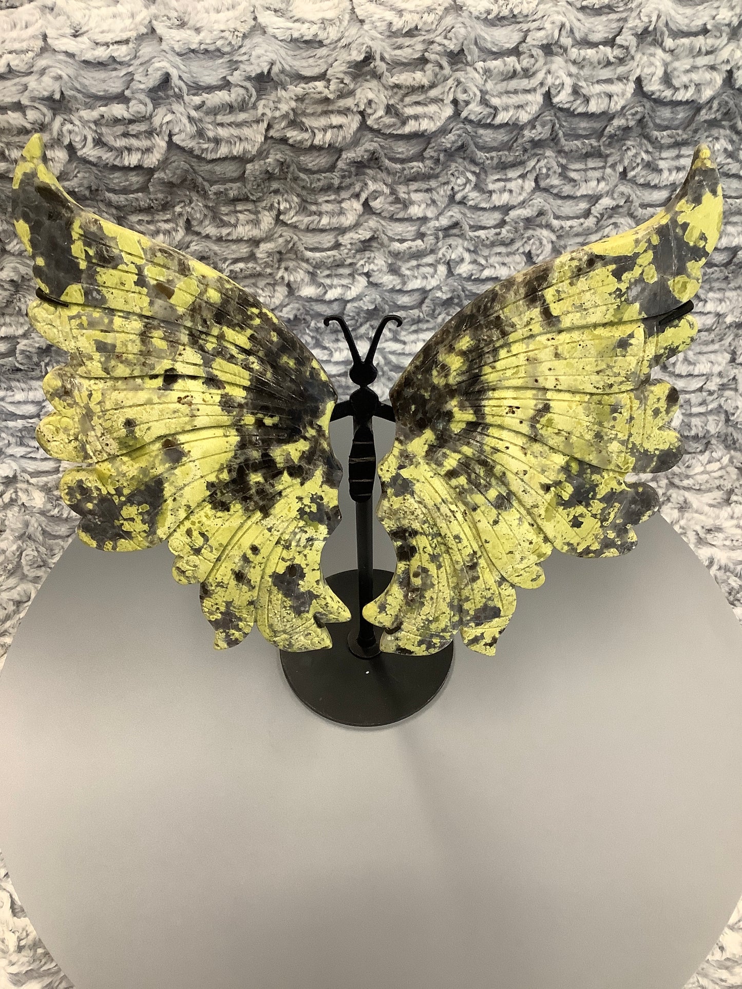 Serpentine Butterfly Wings