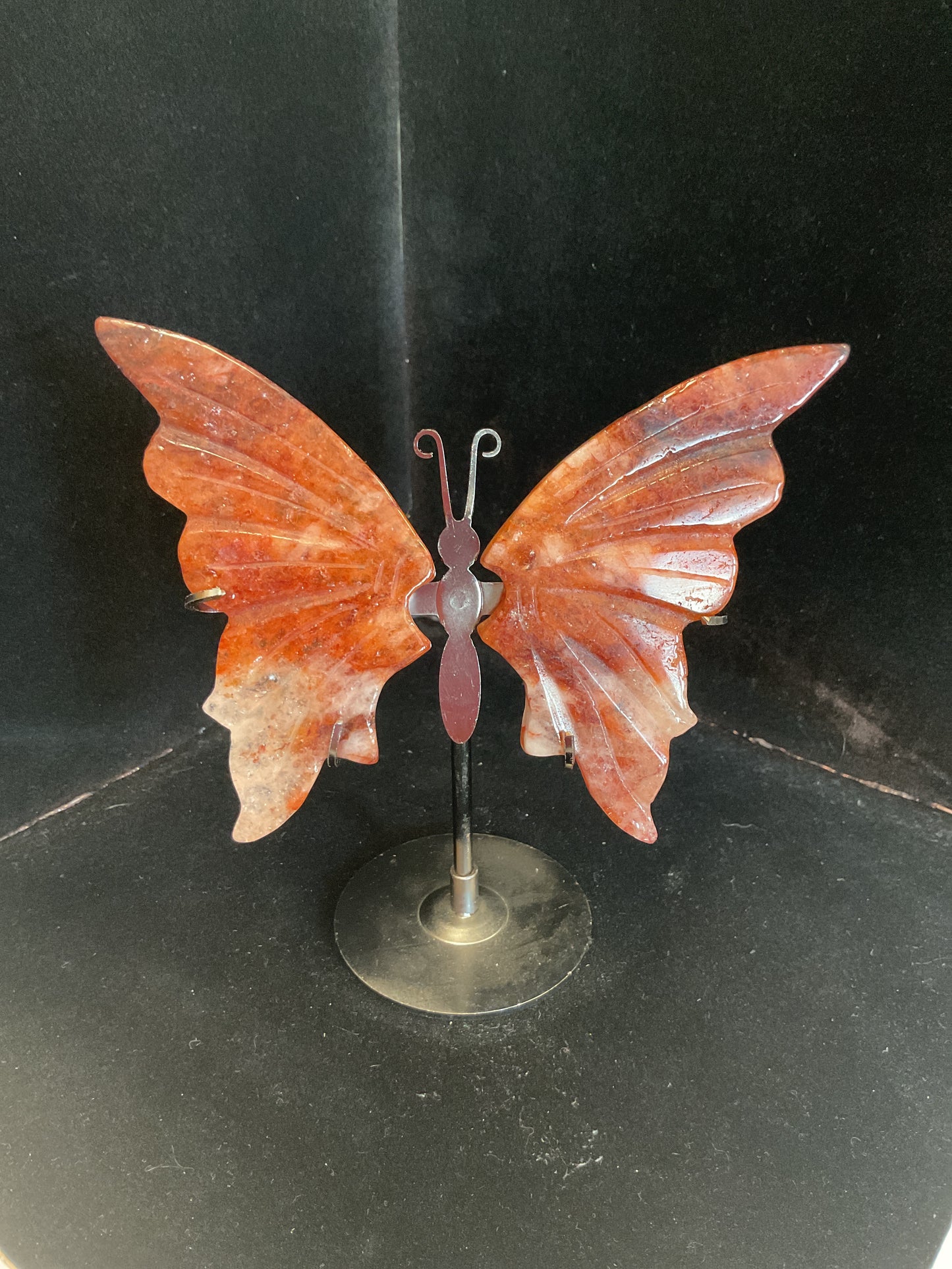 Crystal Butterfly Wings