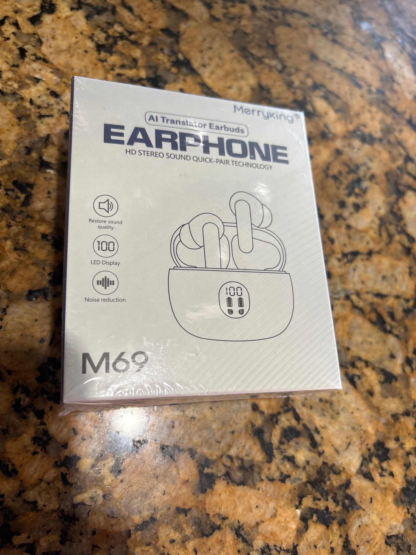 Ai translator ear buds