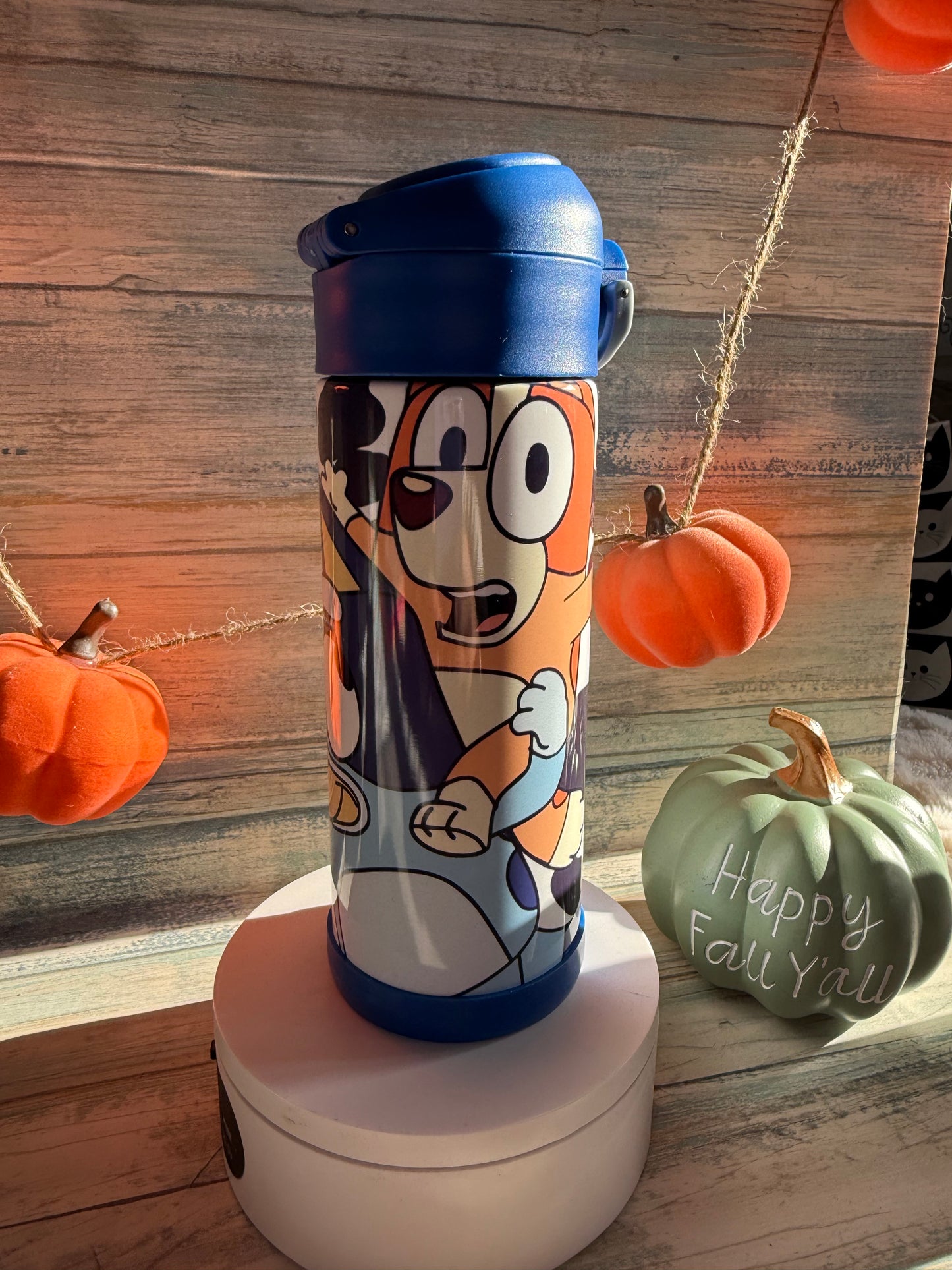 Sippie cups
