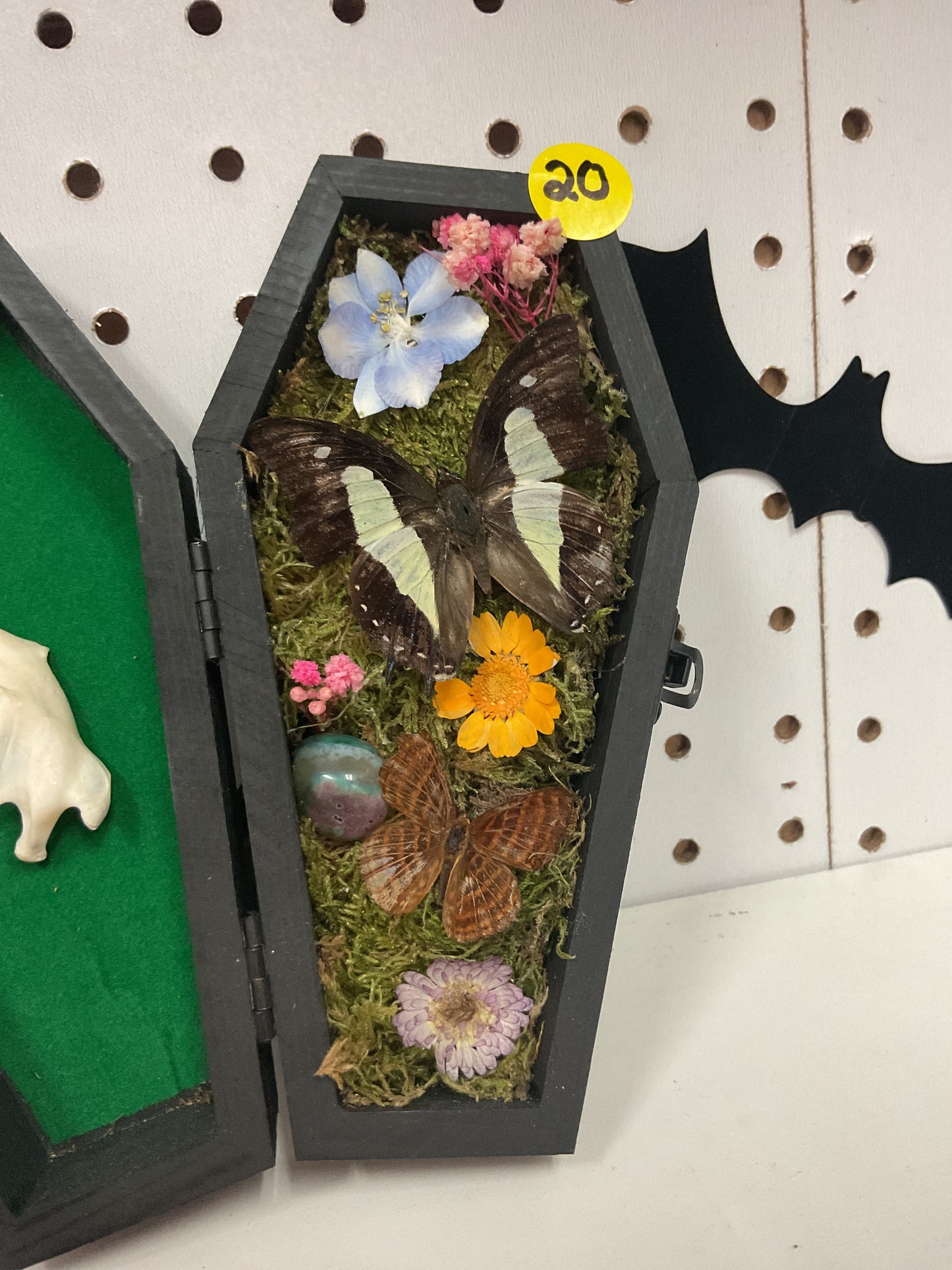 Butterfly coffin box