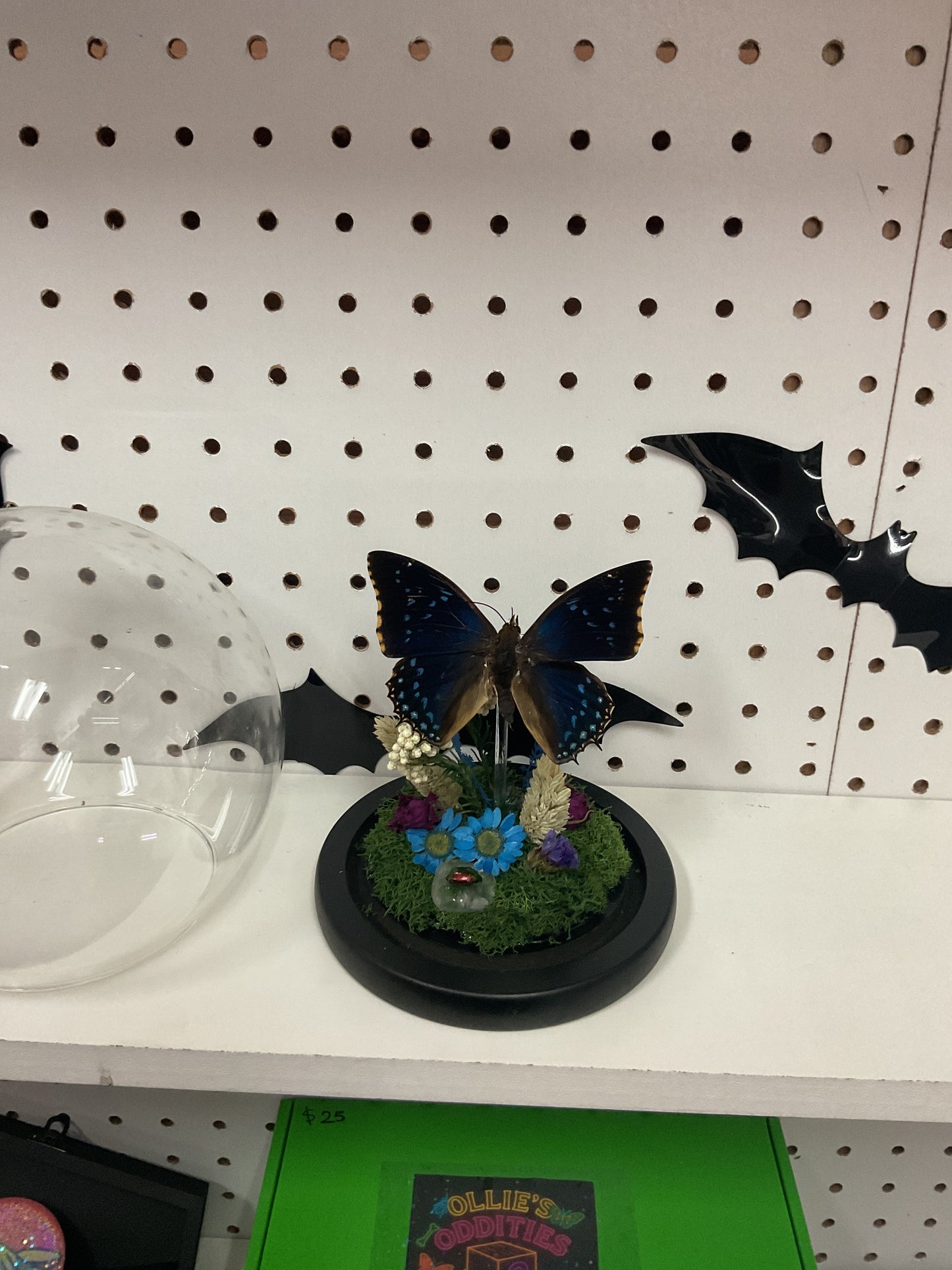 Starry night butterfly