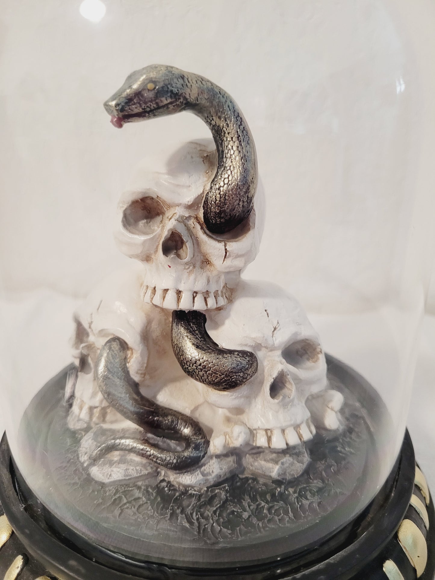 Snake skull dome