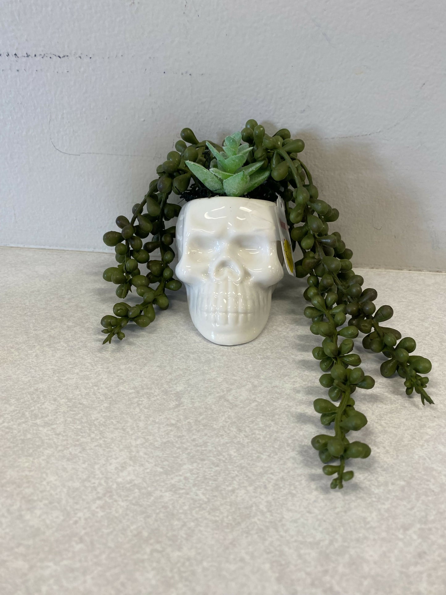 Succulents (faux)