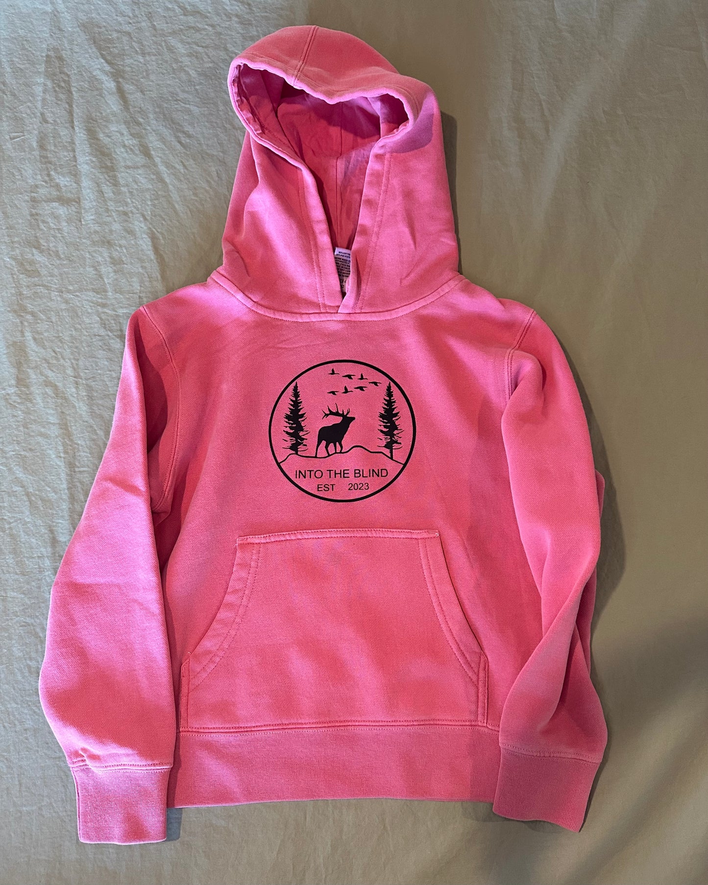 Youth pink hoodie