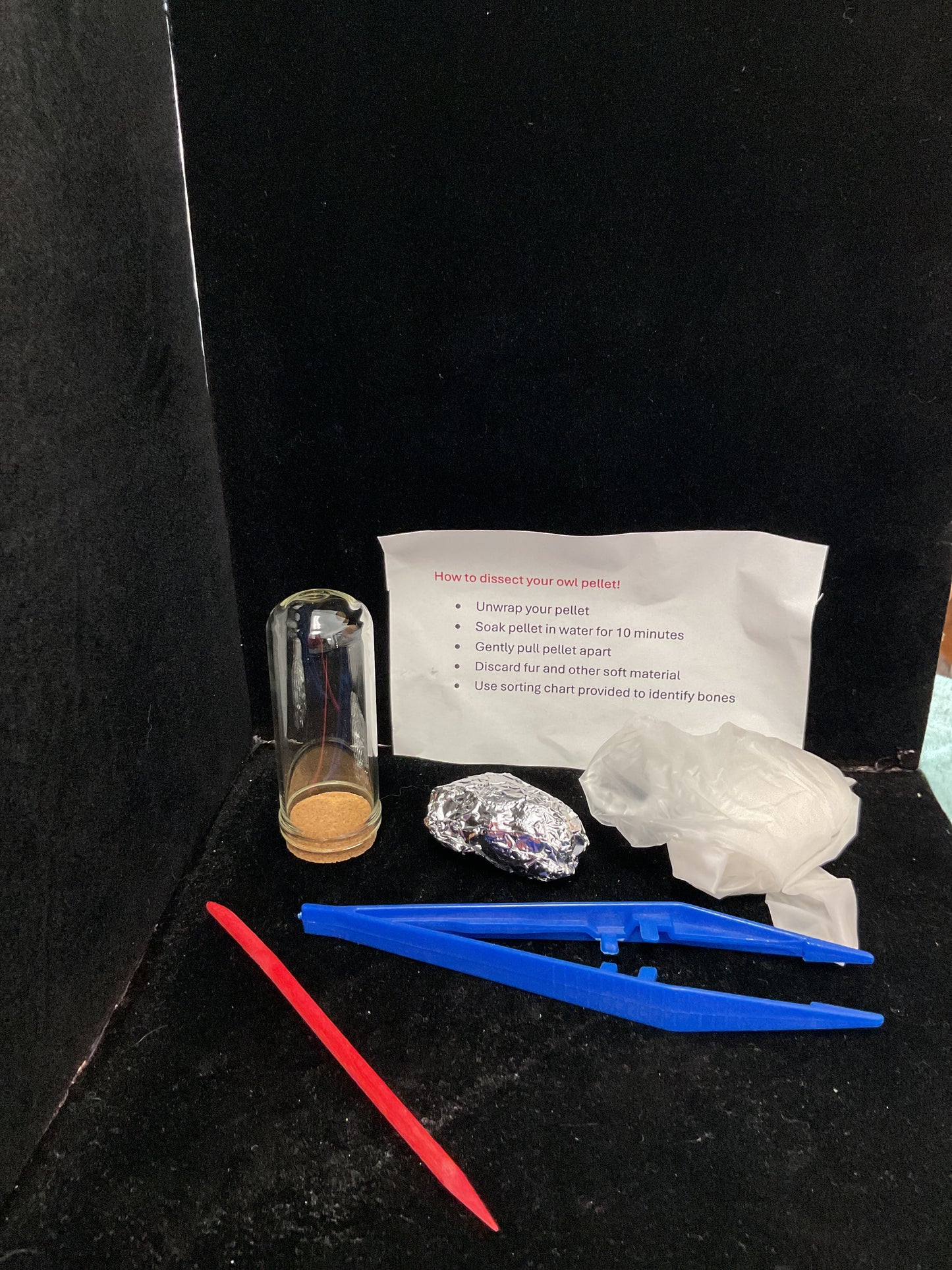 Owl pellet disection kit