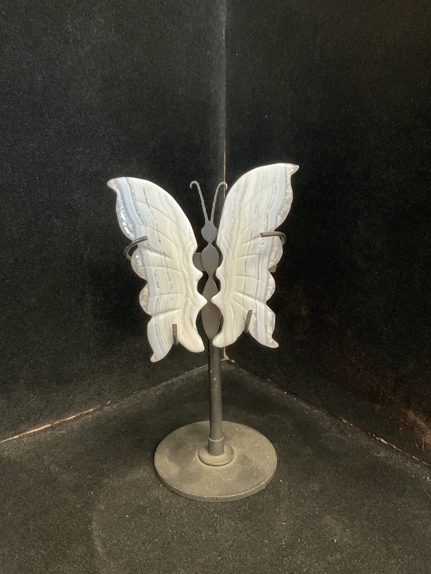 Blue Lace Butterfly Wings