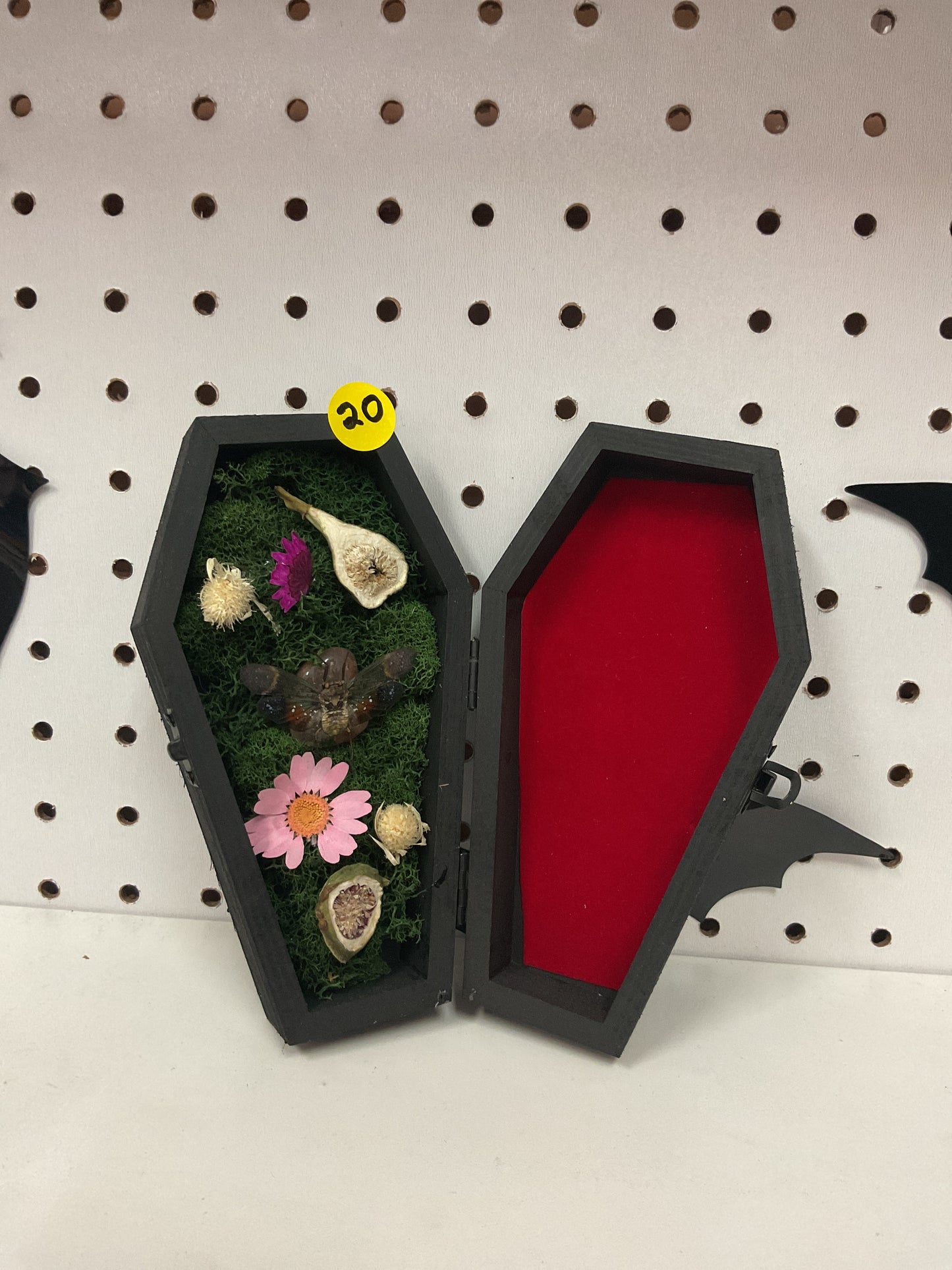 Brown speckled cicada coffin box