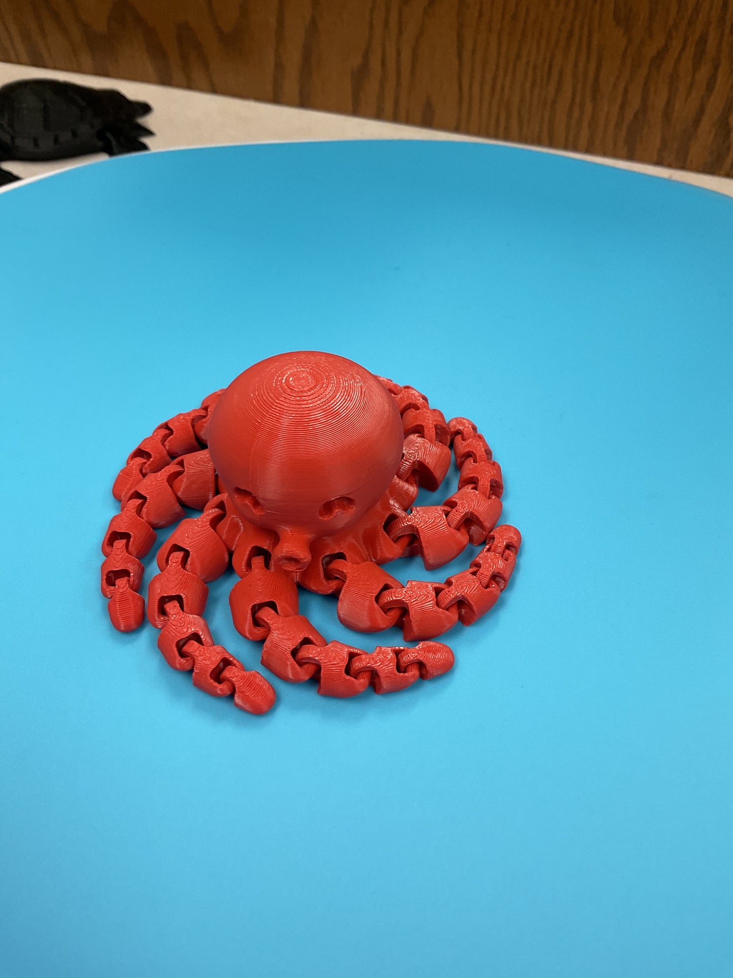 Leroy’s octopus 3d