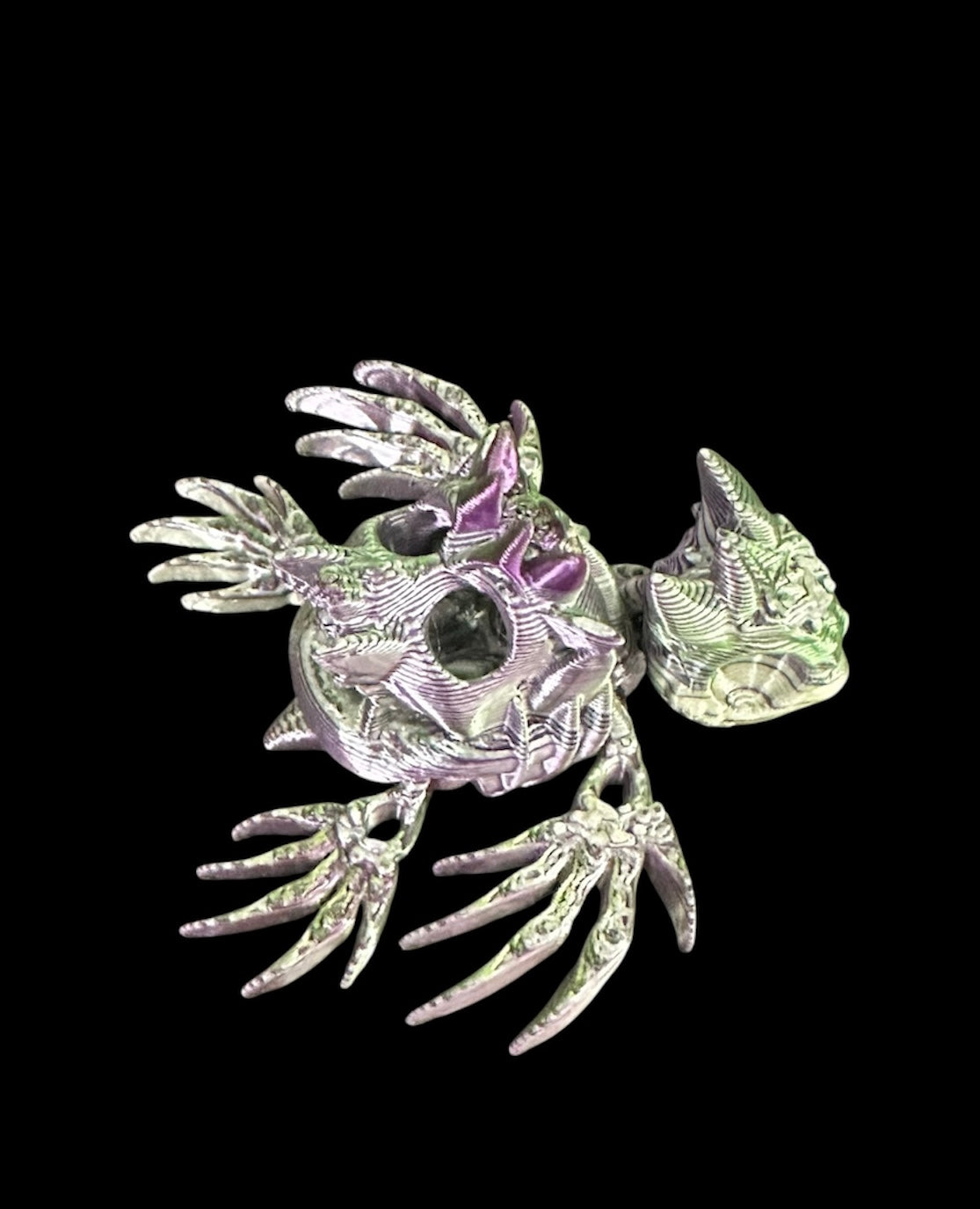 Halloween skeleton turtle