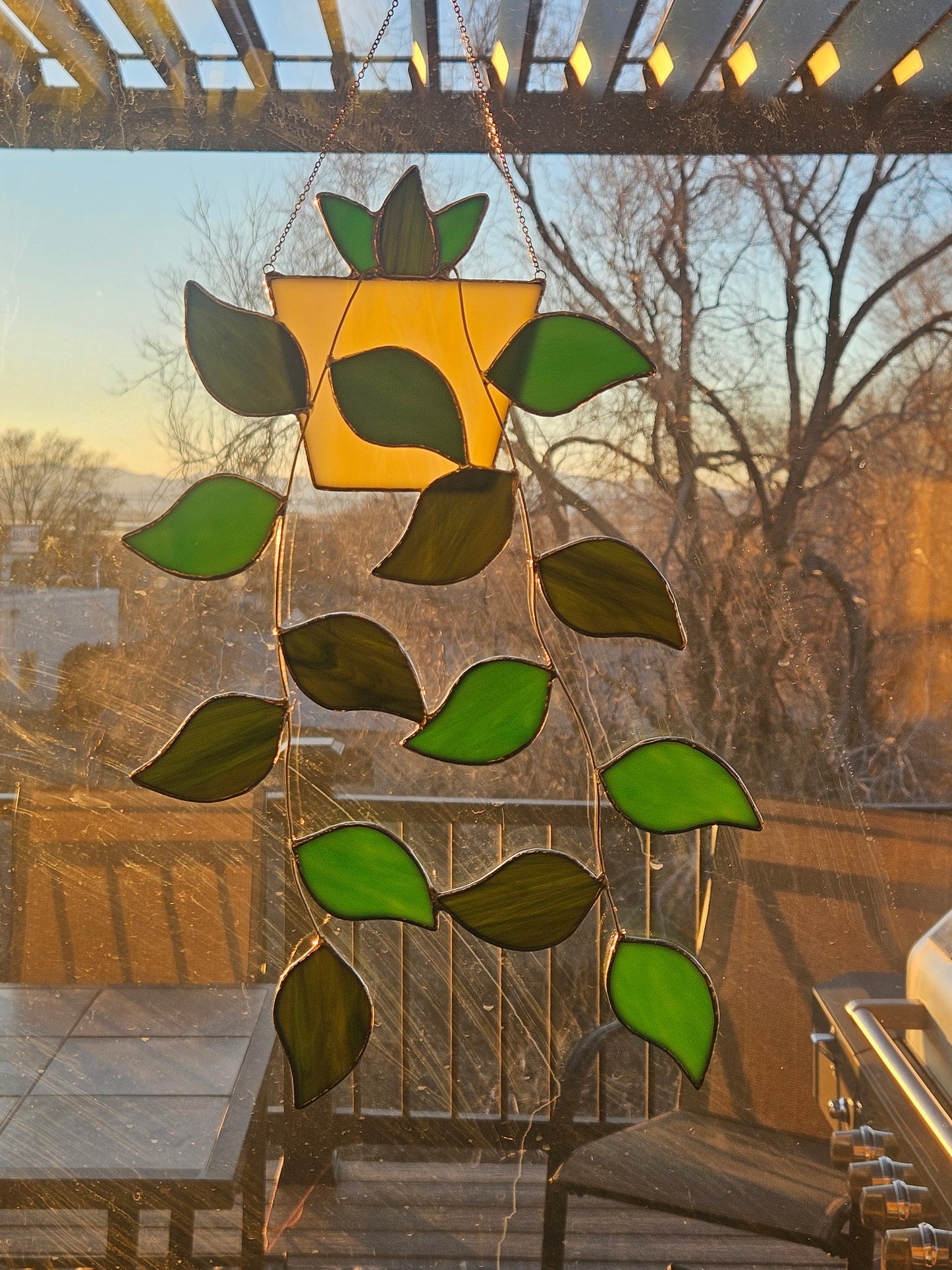 Hanging pot with green leaf vines