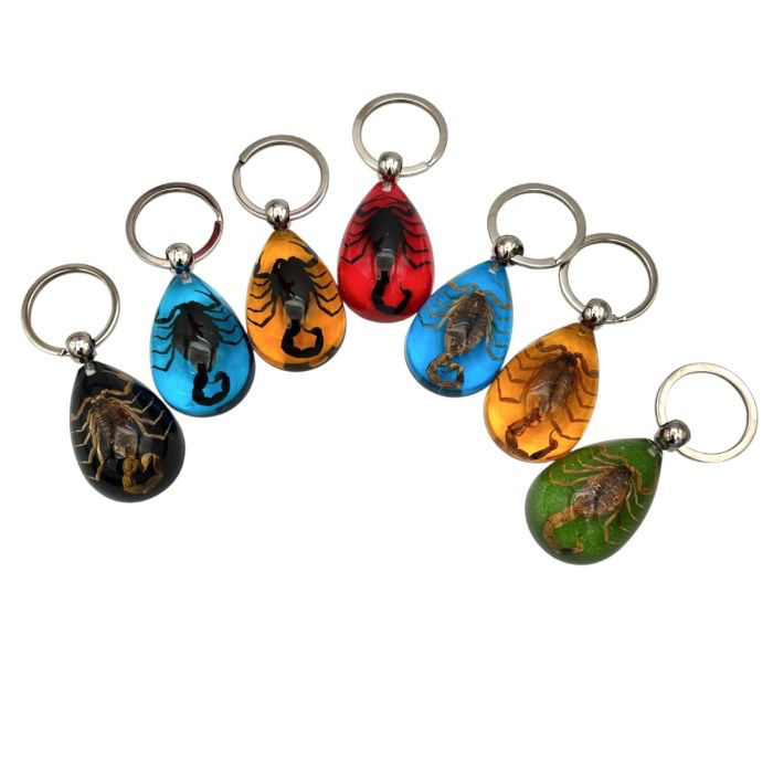 Scorpion large teardrop keychains