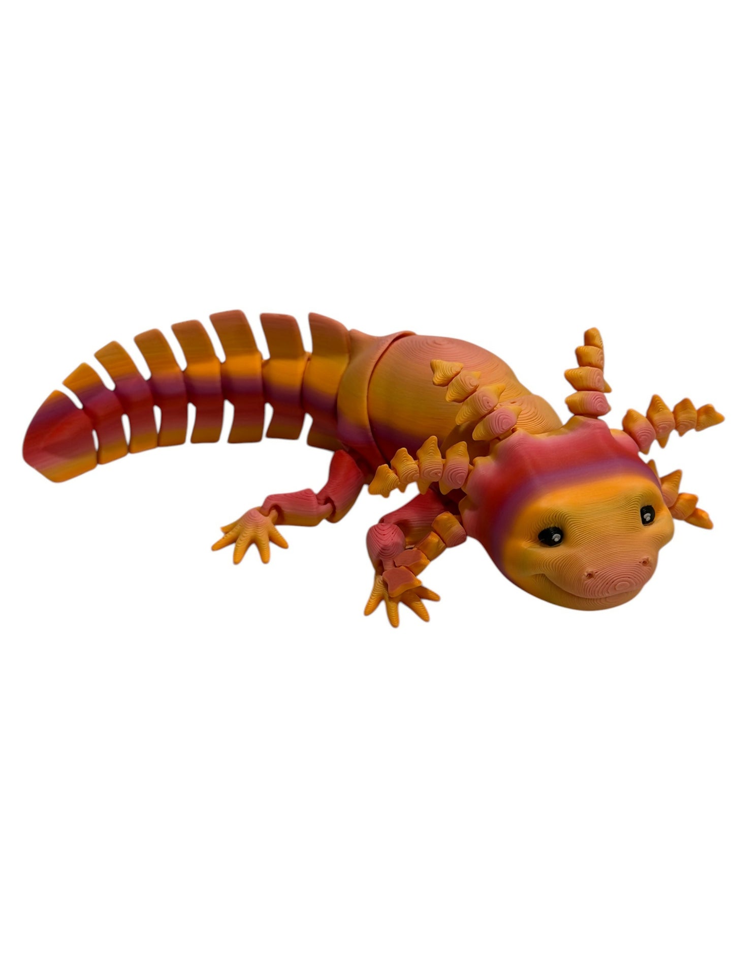 Axolotl