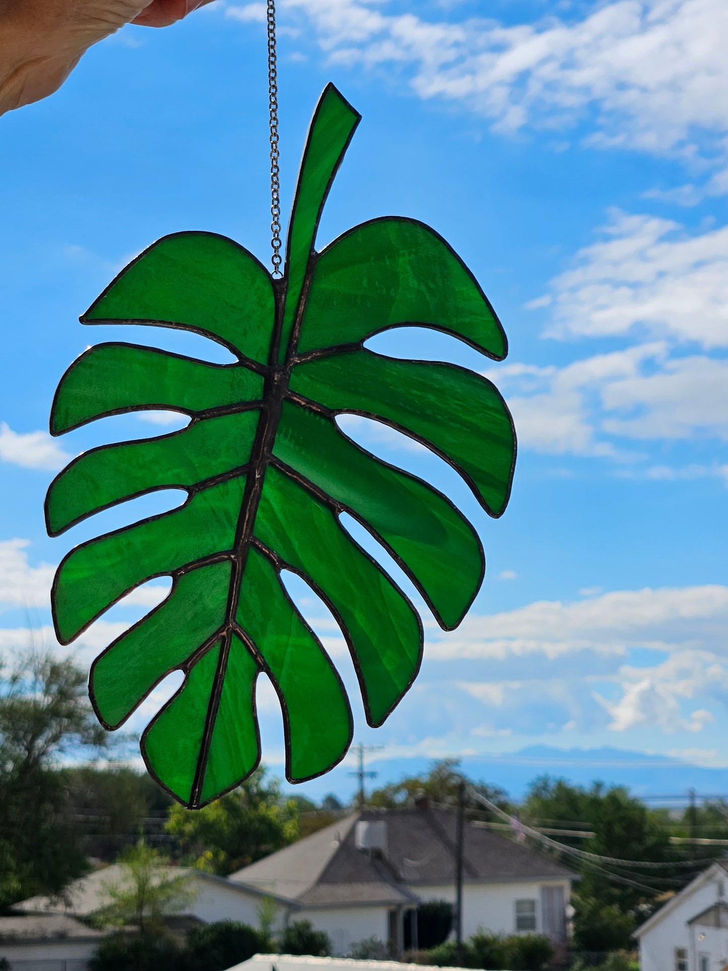 Monstera Leaf Tropical Splendor