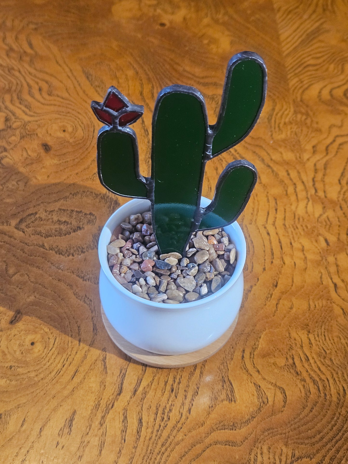 Triple Crown Succulent