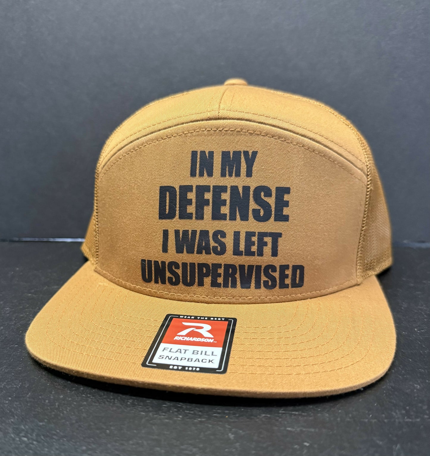 In my defense I was left unsupervised Hat