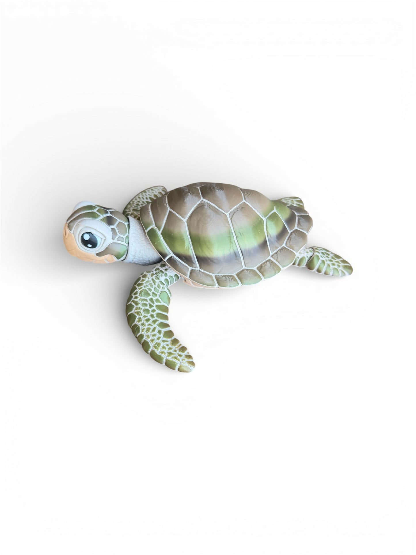 Sea Turtle