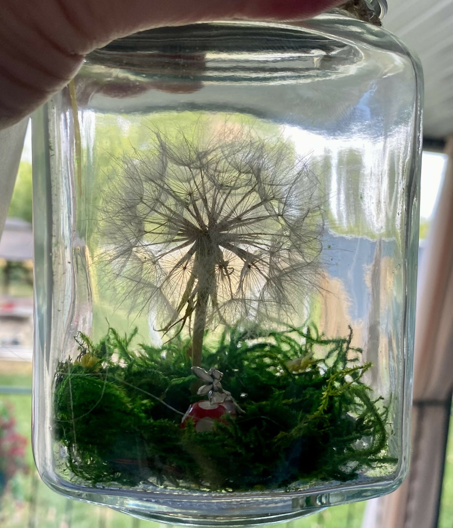 Dandelion wishes