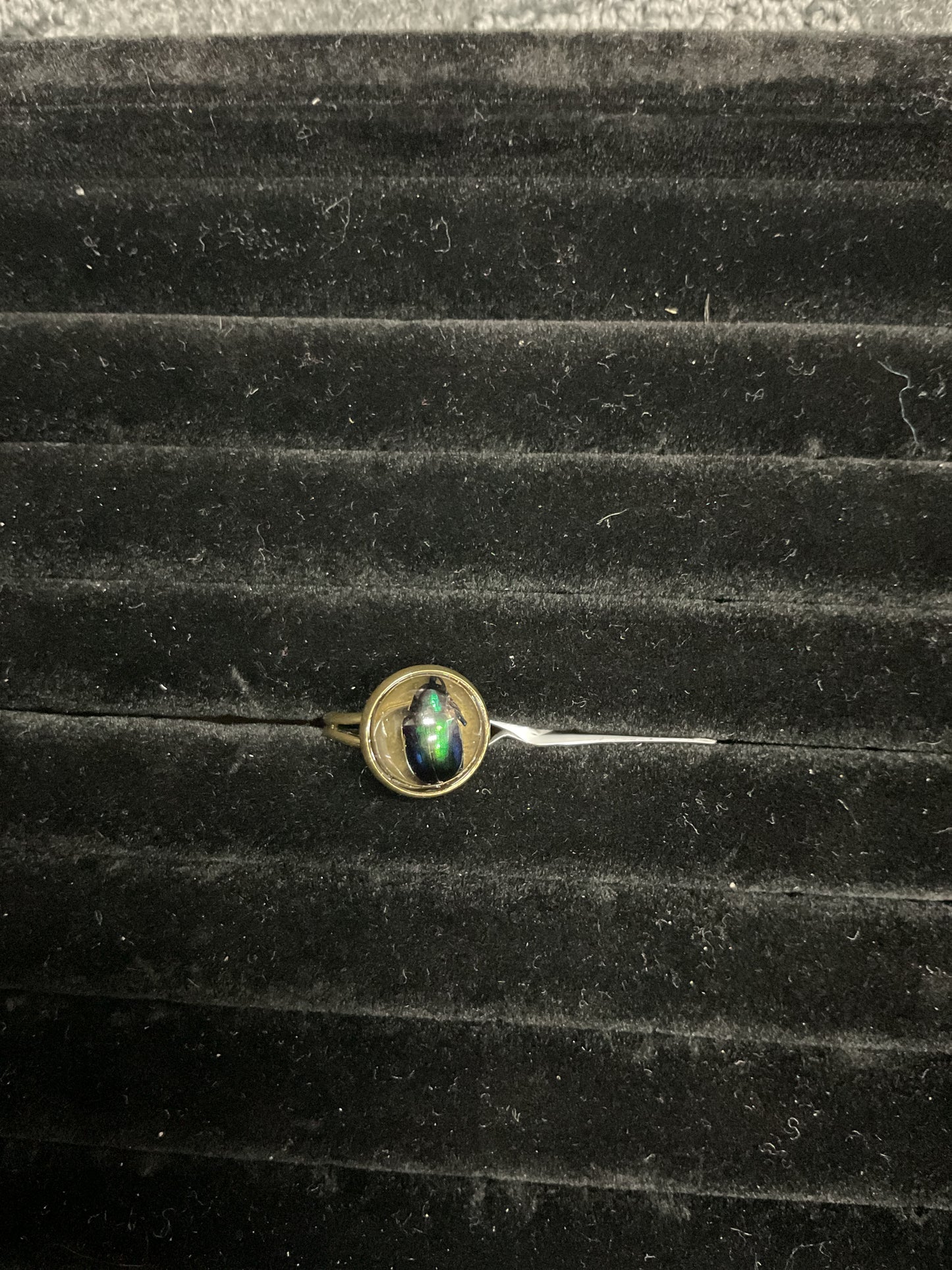 Oddity rings