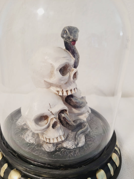 Snake skull dome
