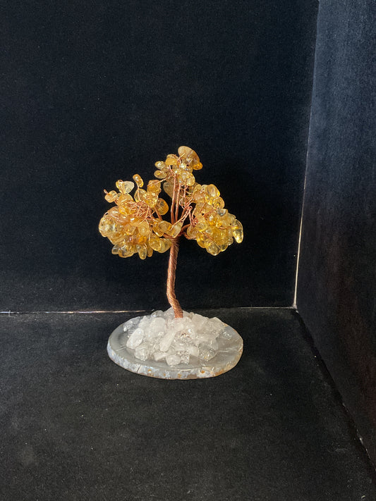 Crystal Money Trees