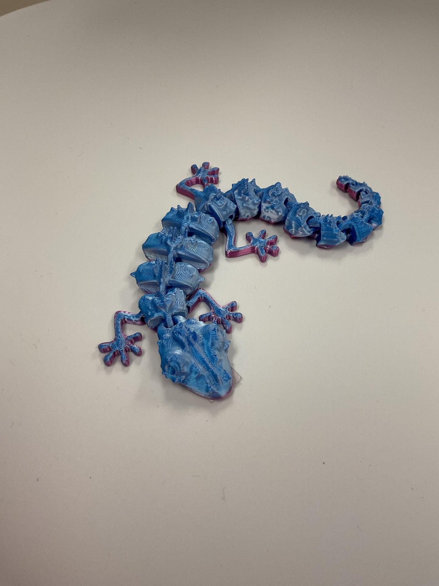 Leroy’s gecko