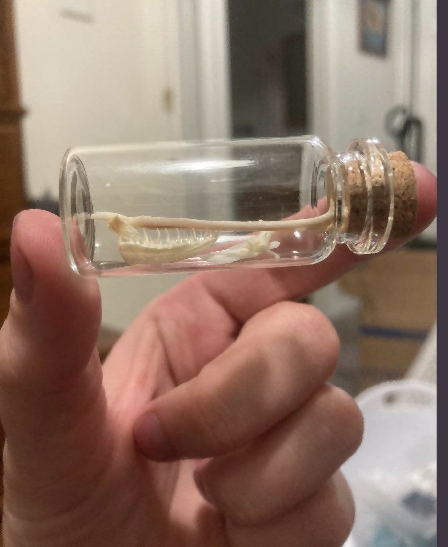 Bone Jars