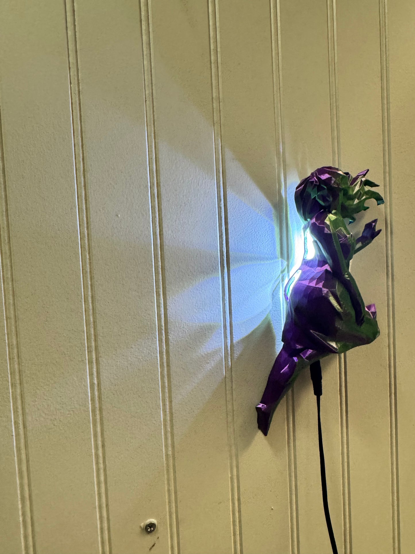 Leroy’s nightlights.