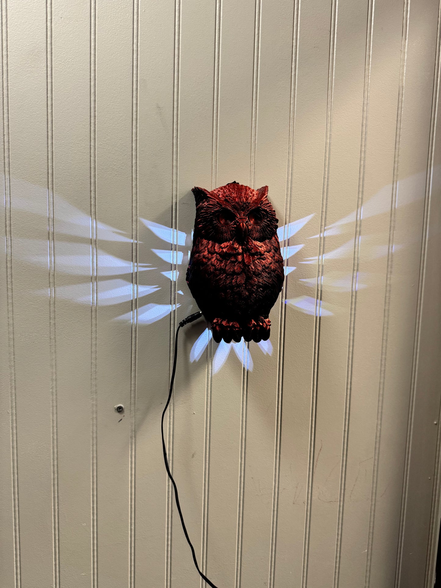 Leroy’s nightlights.