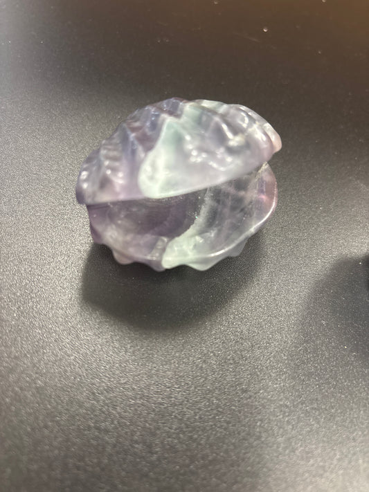 Fluorite shell