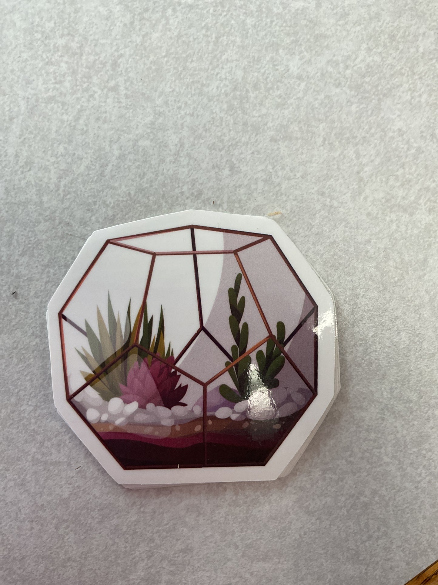 Succulent Stickers
