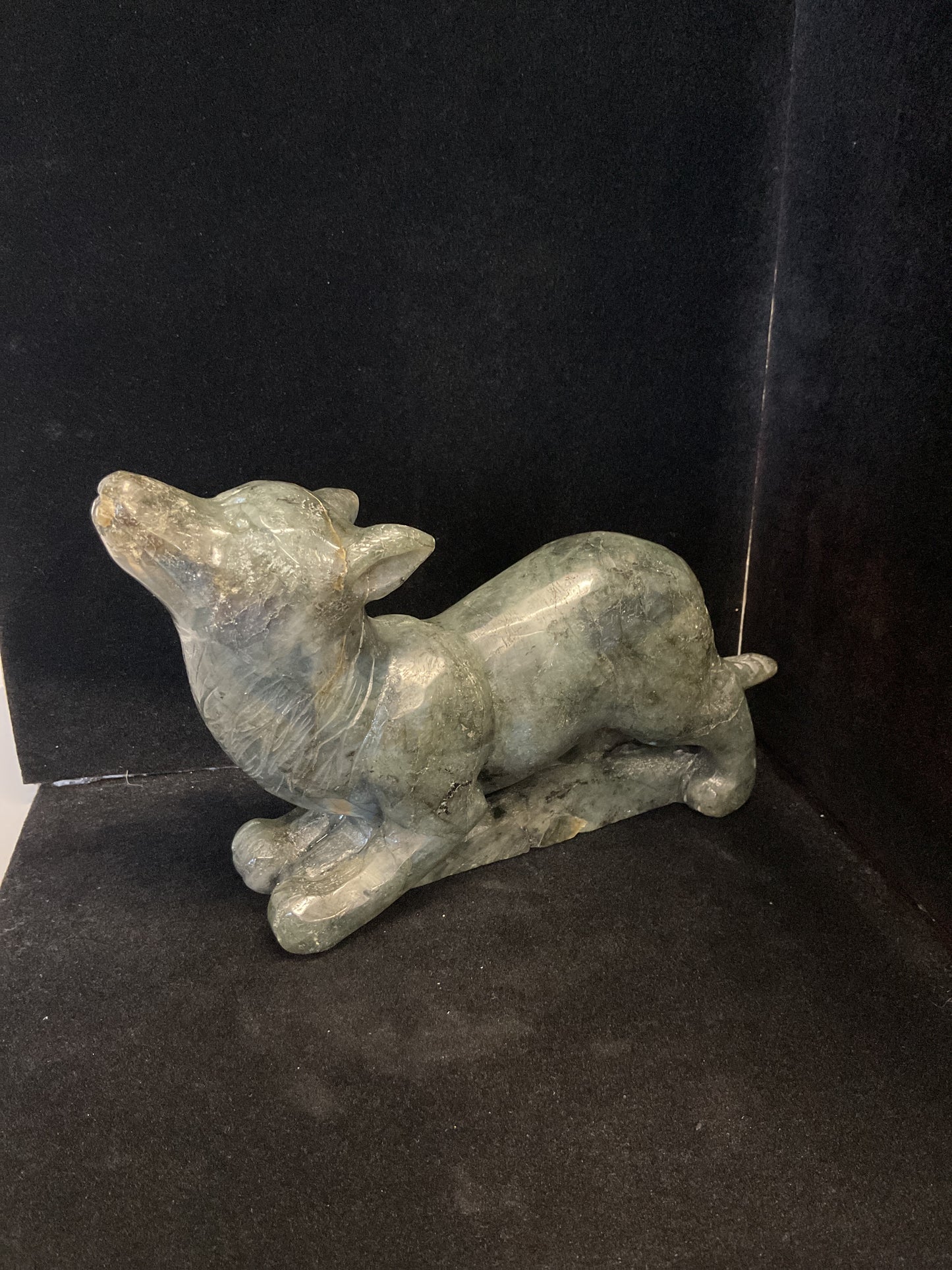 Labradorite Wolf