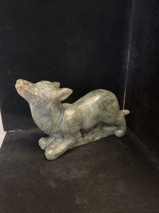 Labradorite Wolf