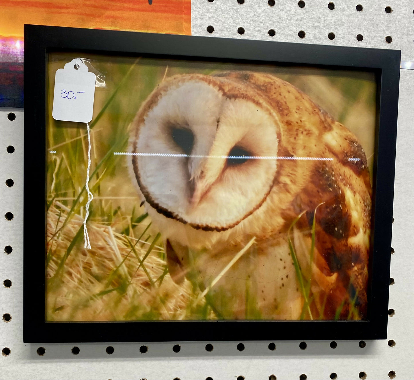 Photography on items