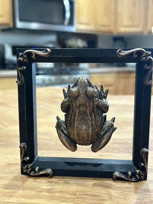 Framed frog oddity
