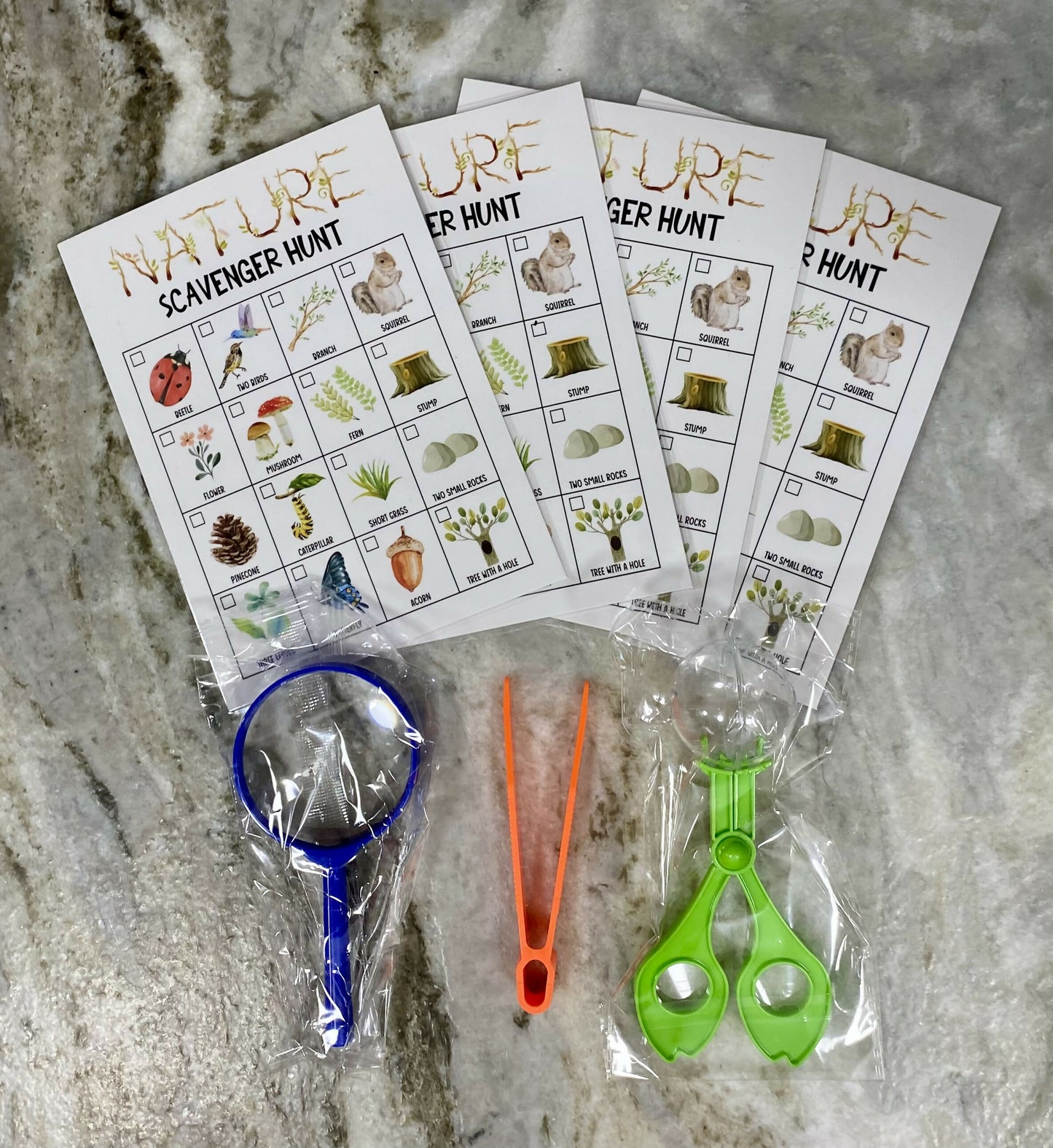 Nature scavenger hunt kit