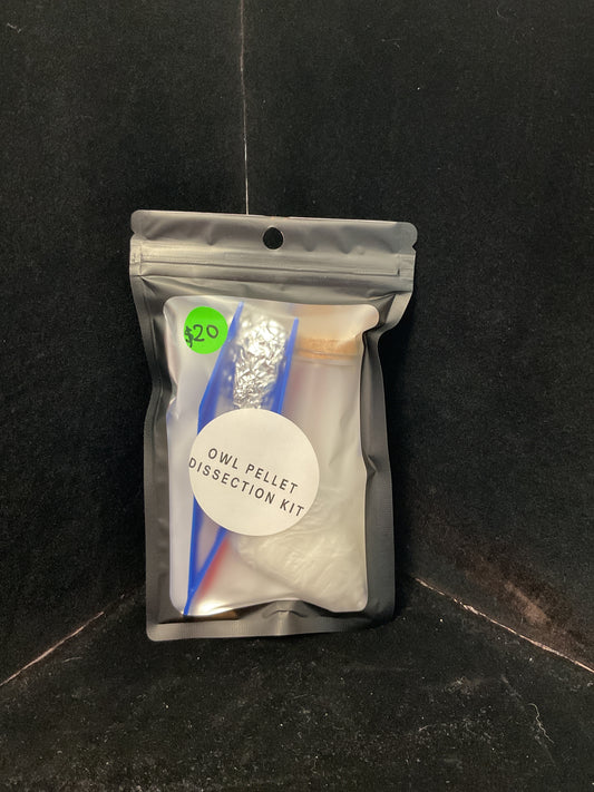 Owl pellet disection kit
