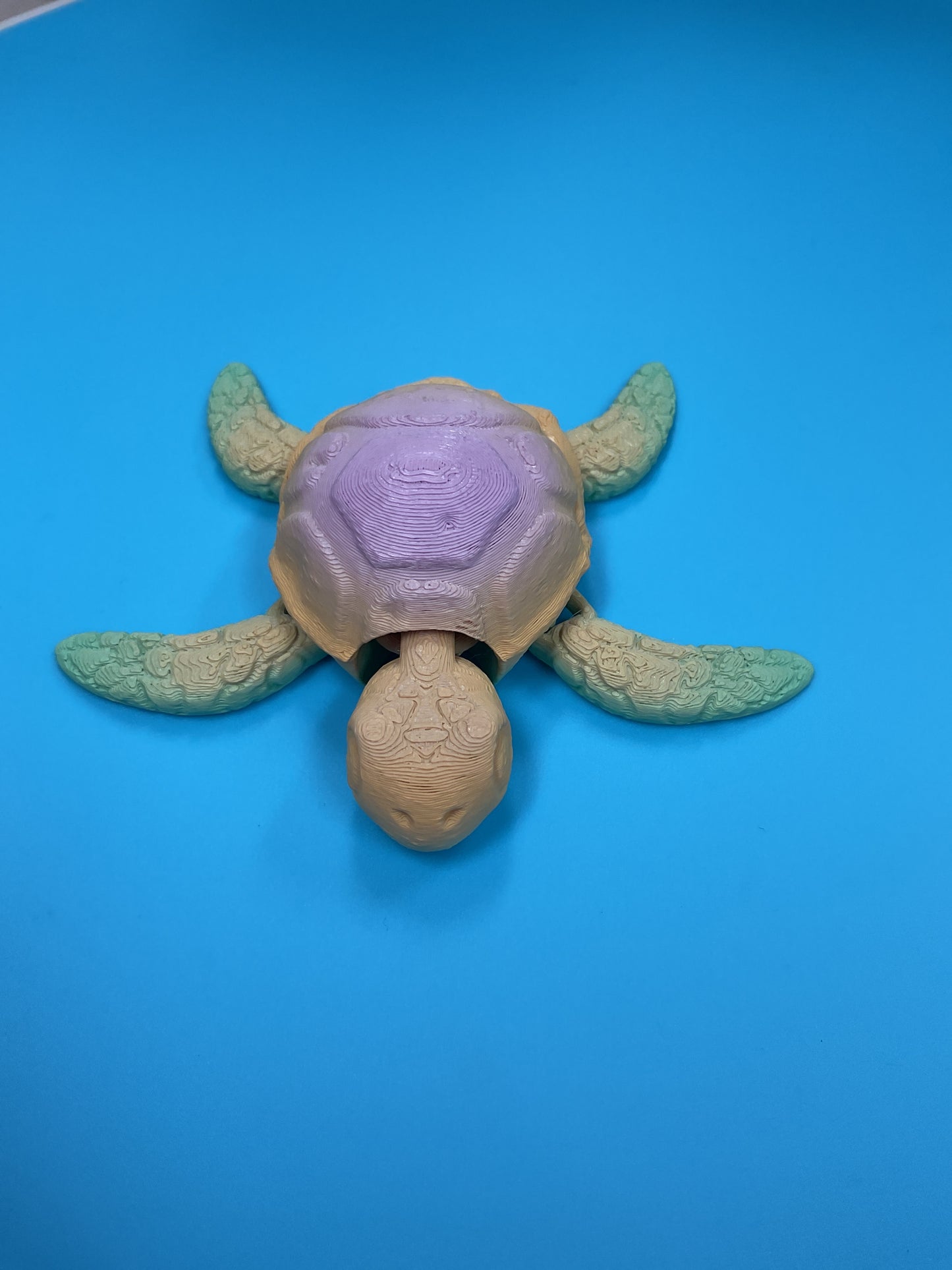 Leroy’s turtles 3d