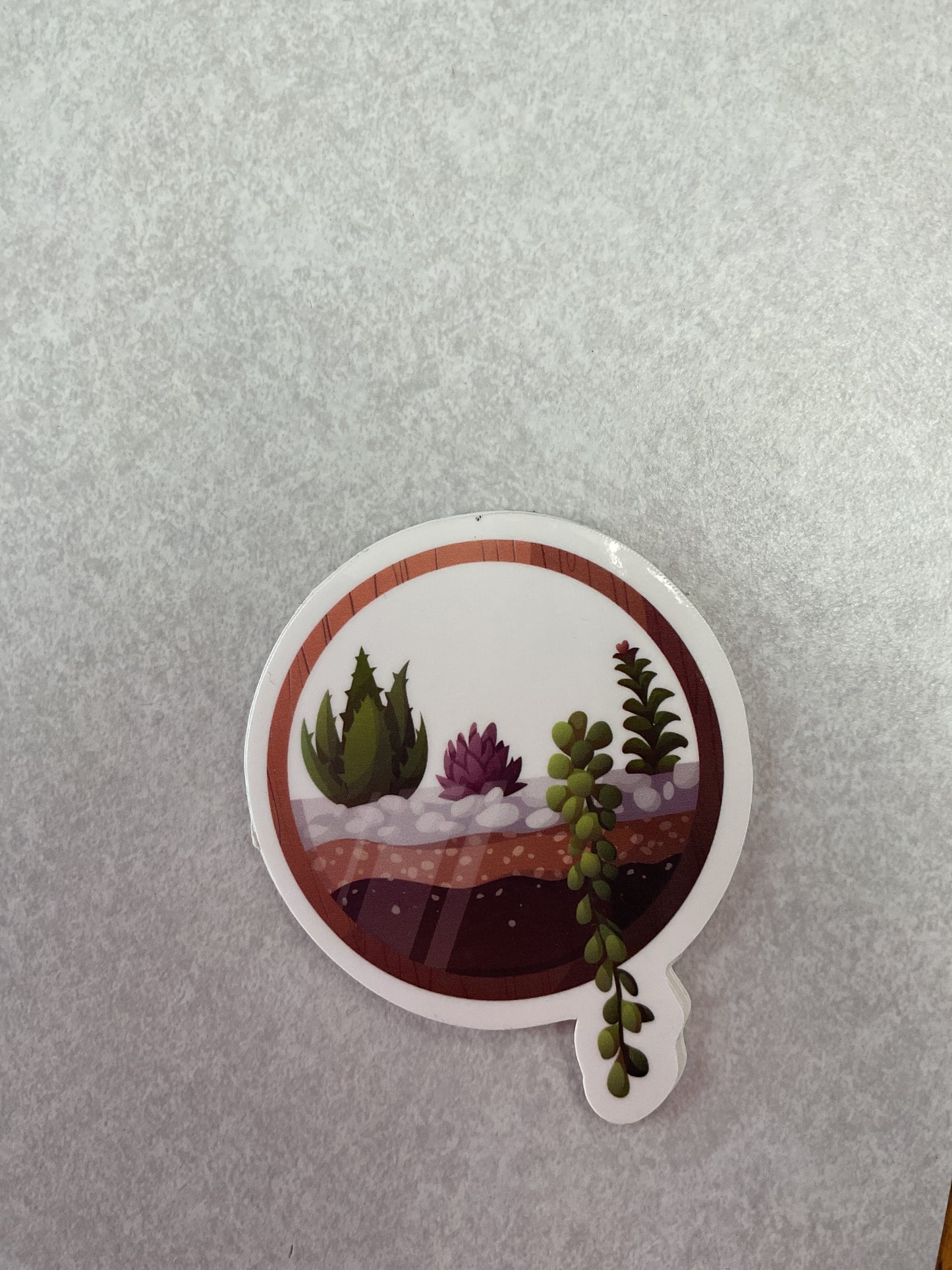 Succulent Stickers