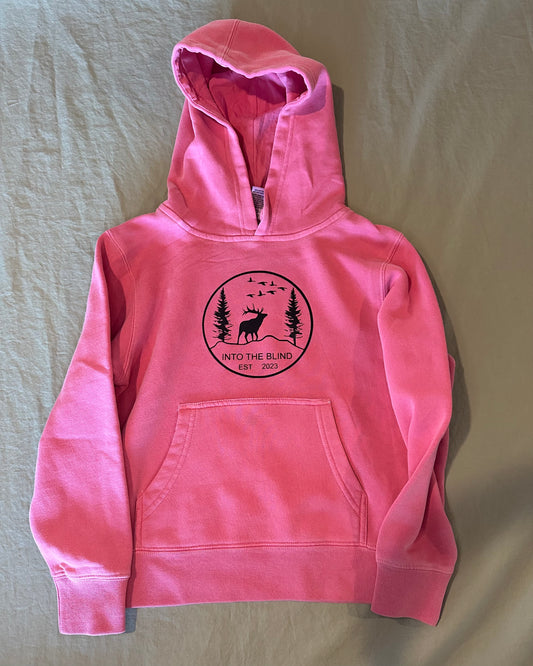 Youth pink hoodie