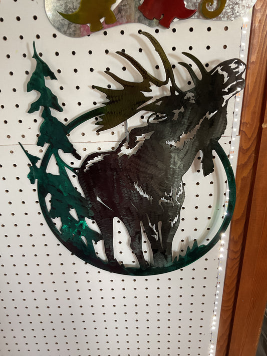 Moose in circle