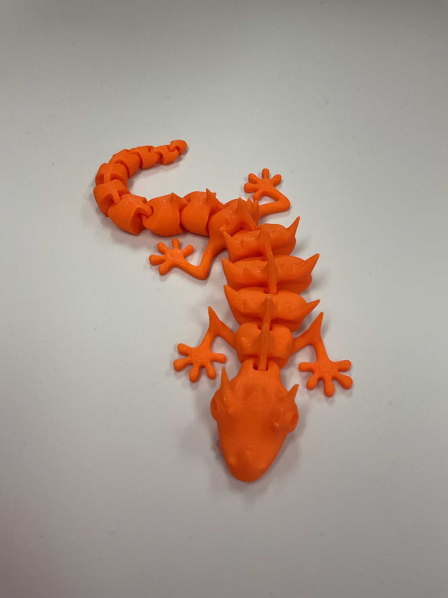 Leroy’s gecko