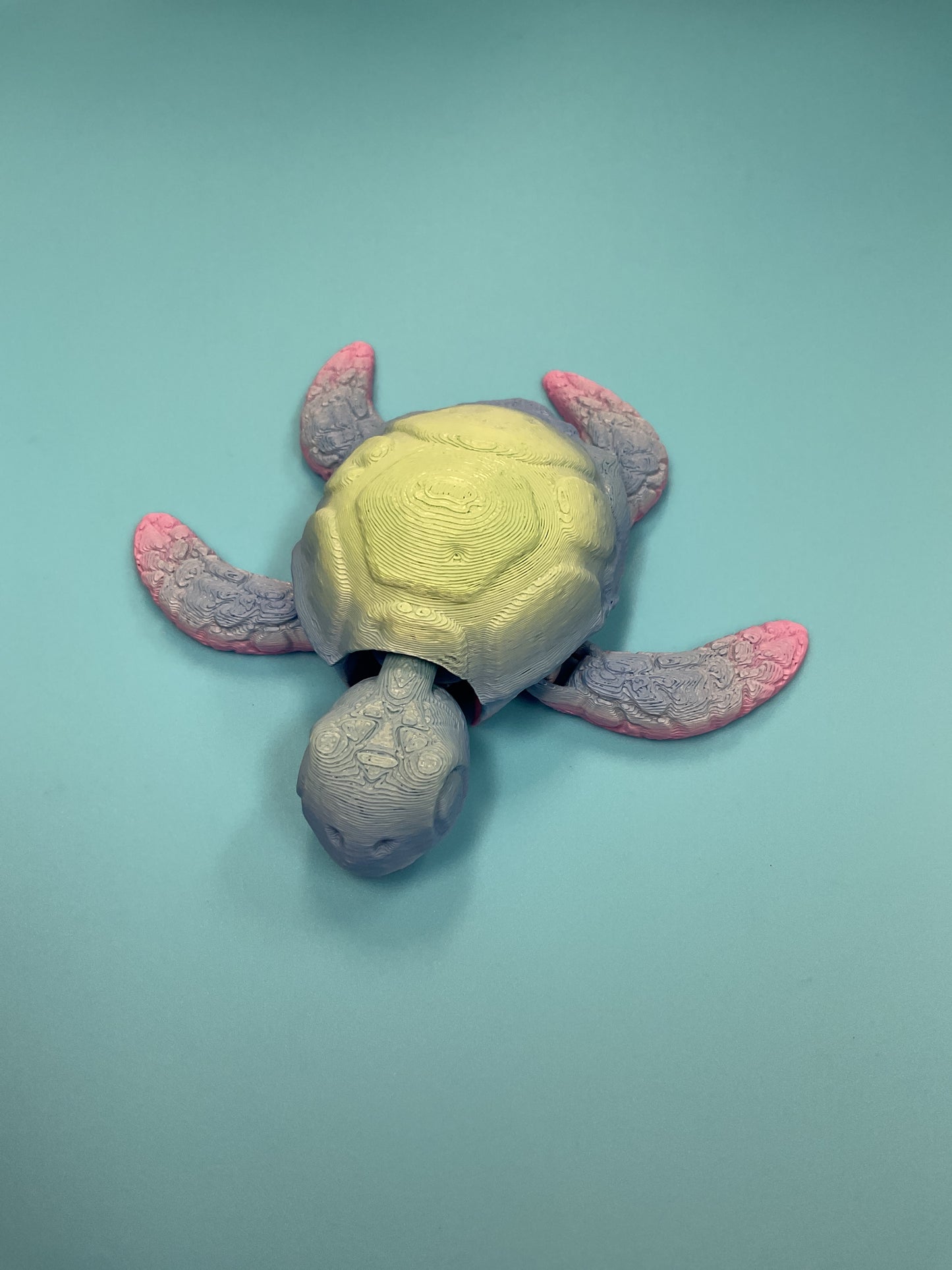 Leroy’s turtles 3d