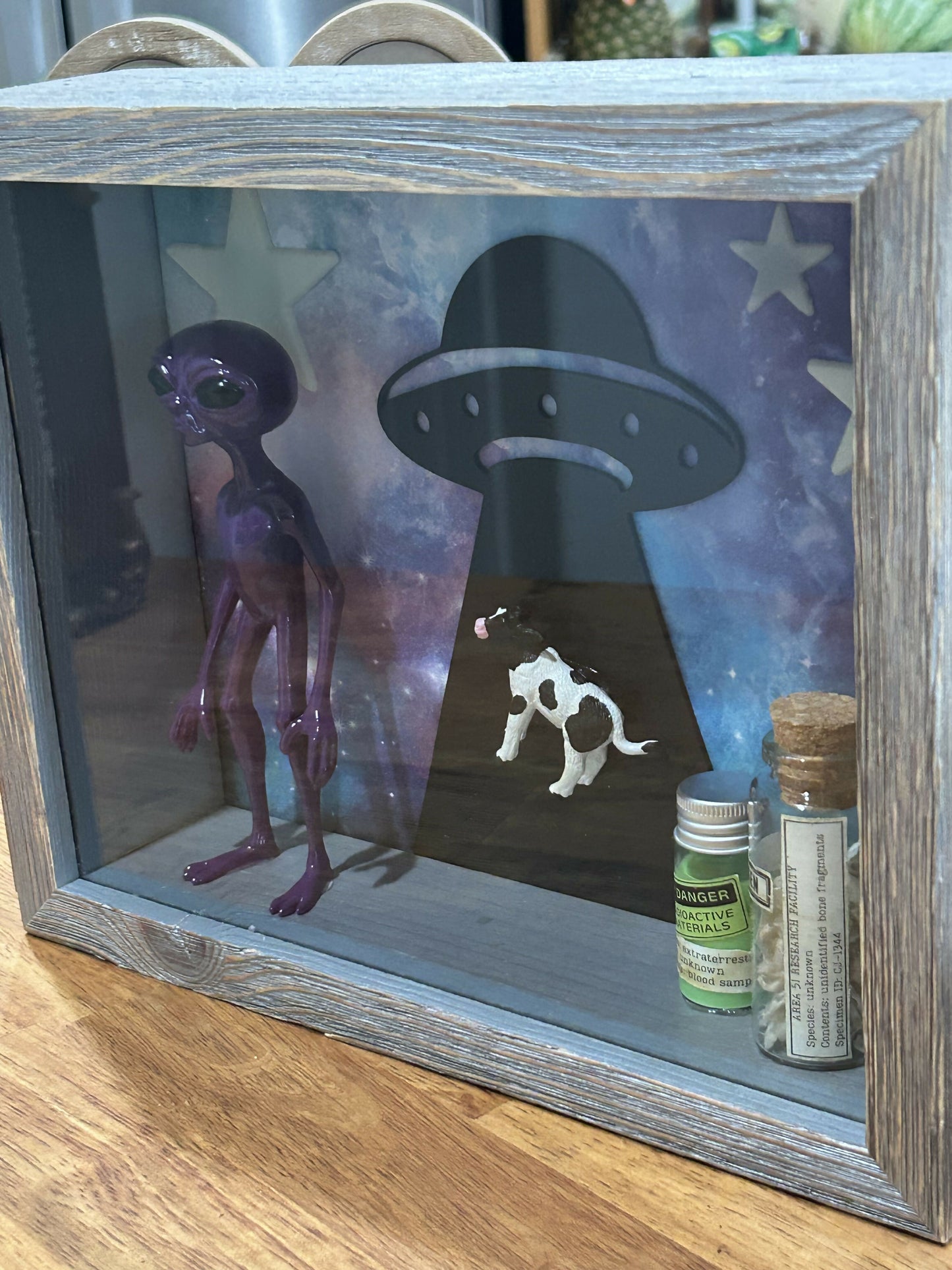 Alien shadow box