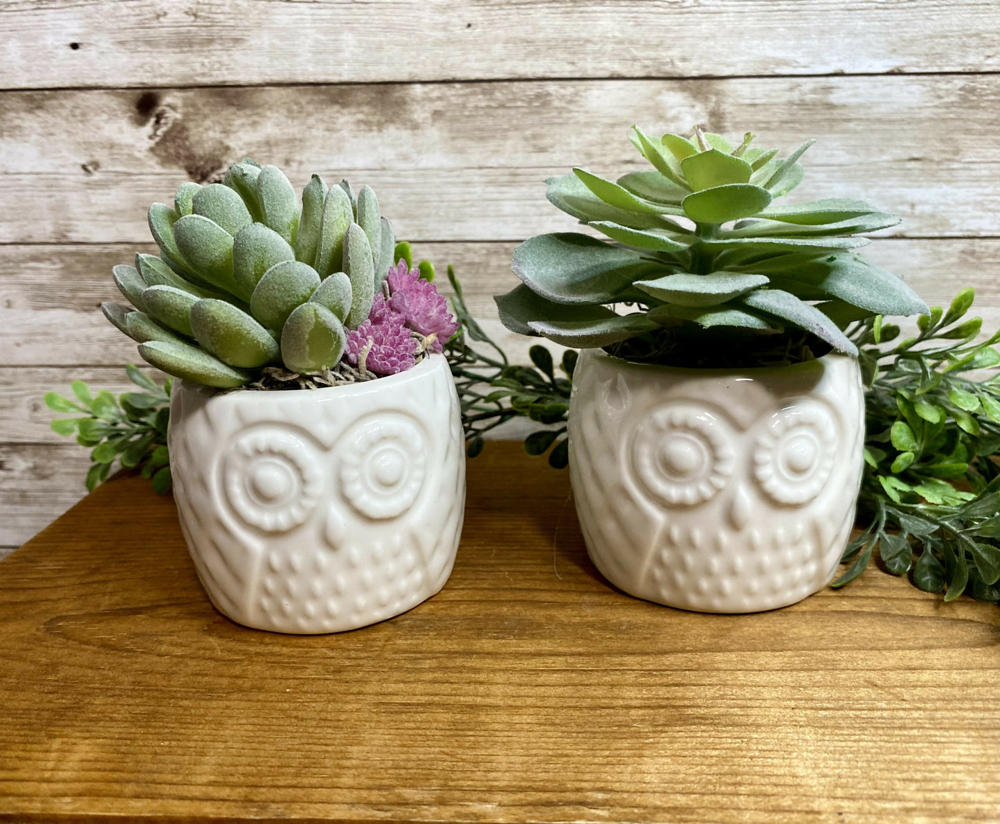 Succulents (faux)