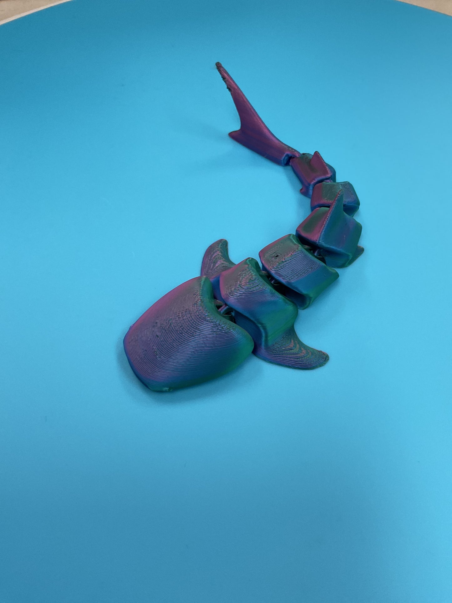 Leroy’s 3d shark