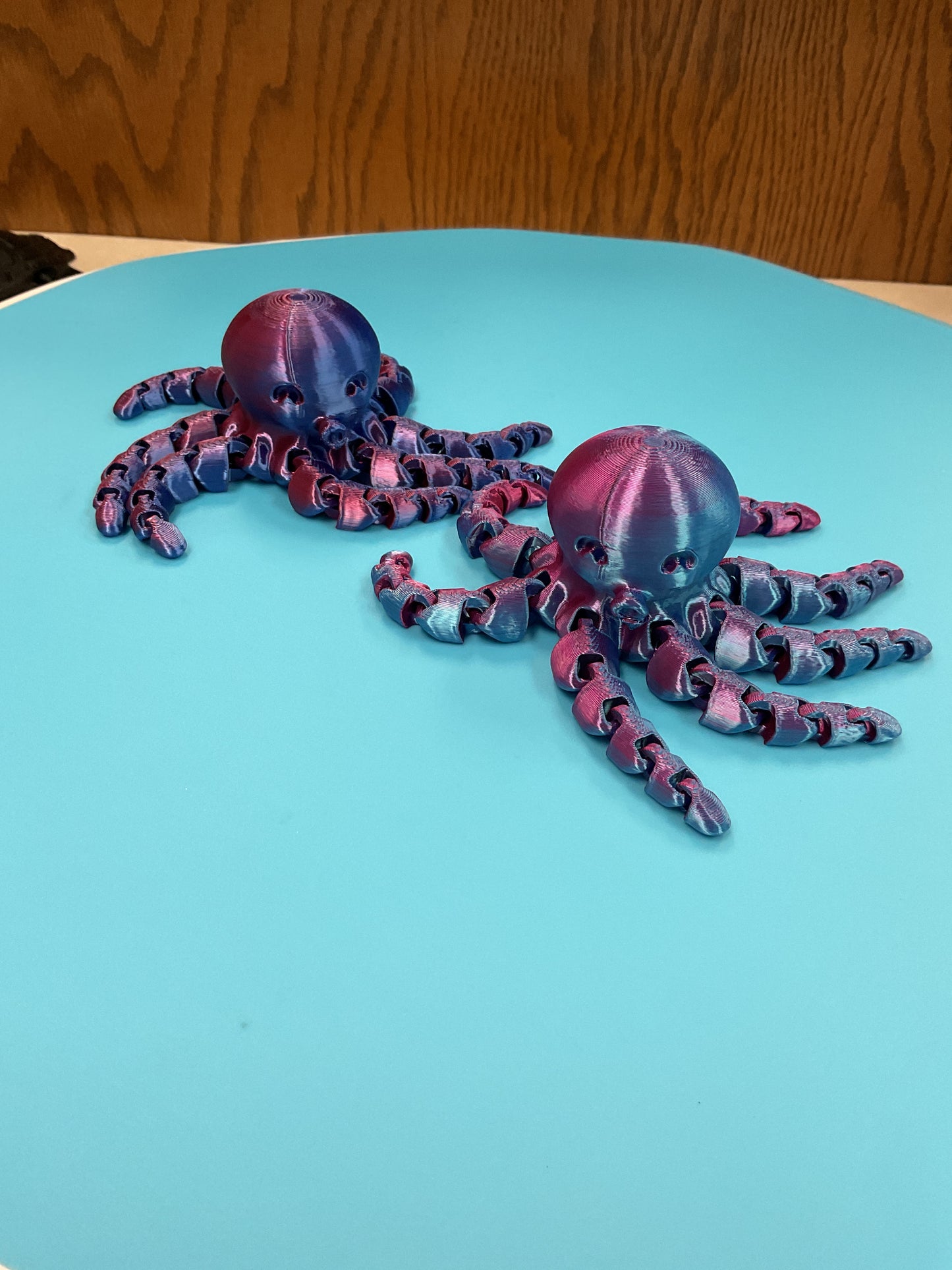 Leroy’s octopus 3d