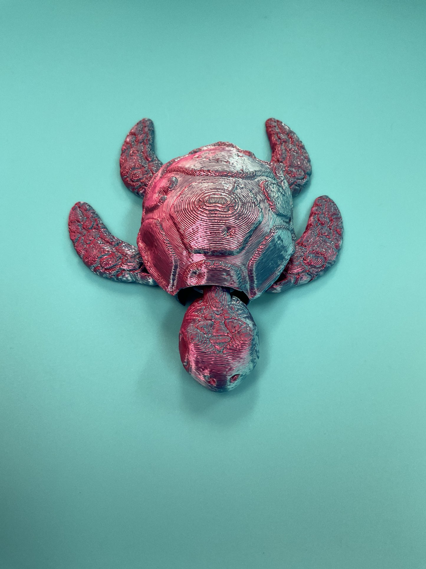 Leroy’s turtles 3d