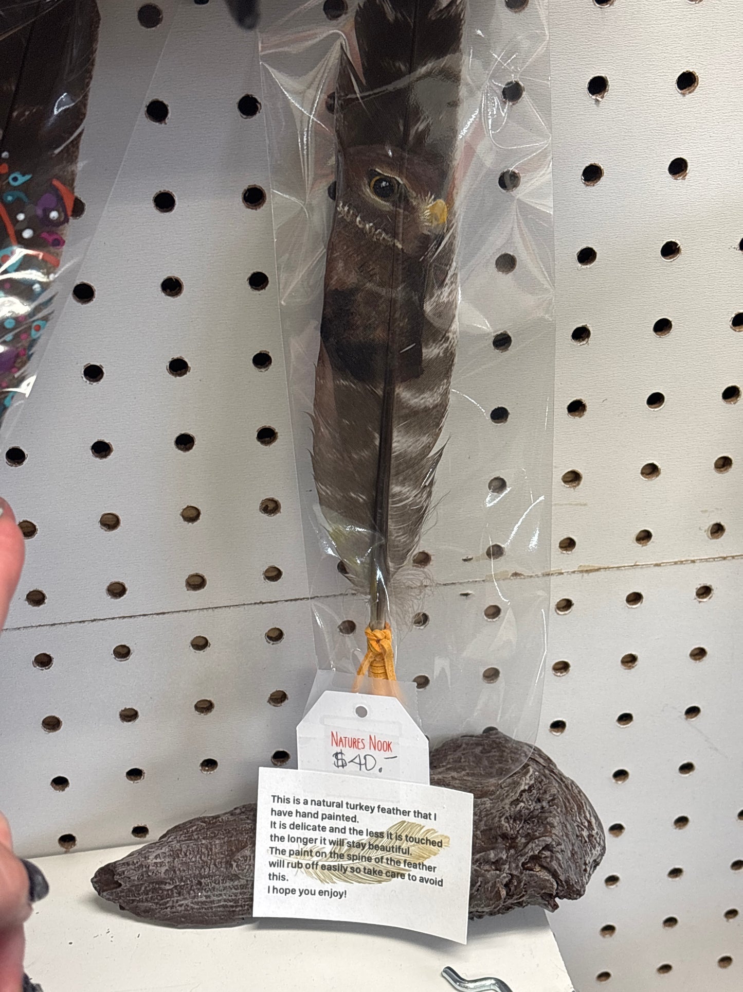 Hand painted feathers